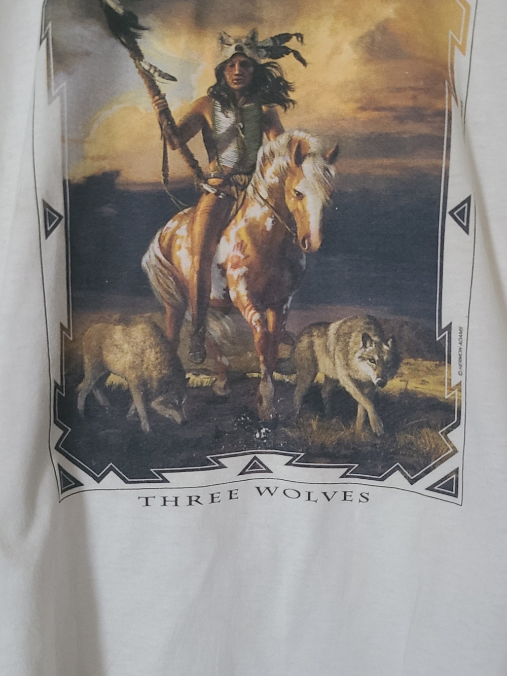 Fruit of the Loom American Indian Vintage Tee